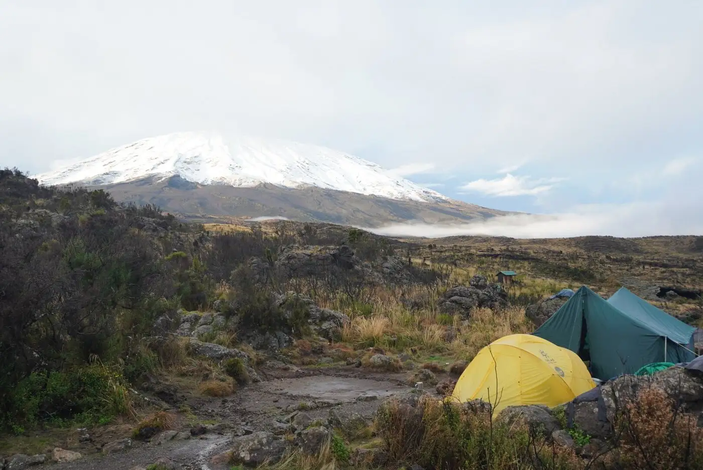 Kilimanjaro Mountain View